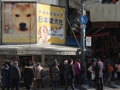 日本愛犬社（黒門市場）